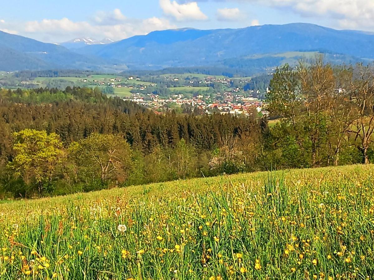 Ferienhaus Kaerntnergmiat Feldkirchen in Kärnten Buitenkant foto